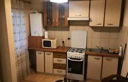 Apartament 2 camere, zona Muzeul Apei!