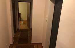 Apartament 2 camere, zona Muzeul Apei!