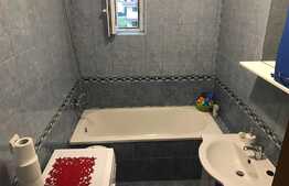 Apartament 2 camere, zona Muzeul Apei!