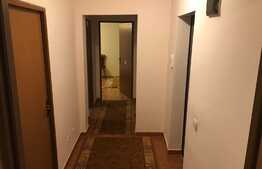 Apartament 2 camere, zona Muzeul Apei!