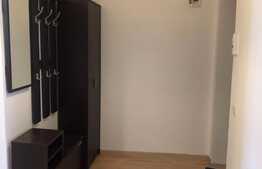 Apartament decomandat de vanzare, 2 camere, mobilat, parcare, Zona Porii 