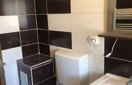 Apartament decomandat de vanzare, 2 camere, mobilat, parcare, Zona Porii 