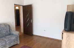 Apartament decomandat de vanzare, 2 camere, mobilat, parcare, Zona Porii 