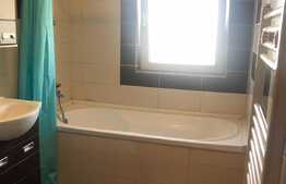 Apartament decomandat de vanzare, 2 camere, mobilat, parcare, Zona Porii 