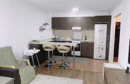 2 camere, la cheie, 43 mp., terasa 12mp, zona Porii