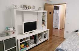 2 camere, la cheie, 43 mp., terasa 12mp, zona Porii