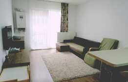 2 camere, la cheie, 43 mp., terasa 12mp, zona Porii