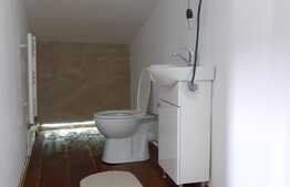 2 camere, 57 mp., pod 45 mp, ideal pentru o familie, zona Stejarului