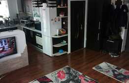 2 camere, 57 mp., pod 45 mp, ideal pentru o familie, zona Stejarului