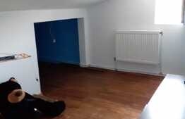 2 camere, 57 mp., pod 45 mp, ideal pentru o familie, zona Stejarului