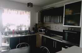 2 camere, 57 mp., pod 45 mp, ideal pentru o familie, zona Stejarului