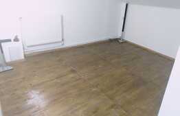 2 camere, 57 mp., pod 45 mp, ideal pentru o familie, zona Stejarului