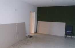 Spatiu comercial, 52mp, zona Vivo