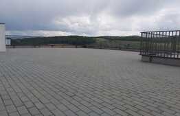 Penthouse 200 mp, terasa generoasa 400 mp, zona Petrom