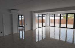 Penthouse 200 mp, terasa generoasa 400 mp, zona Petrom