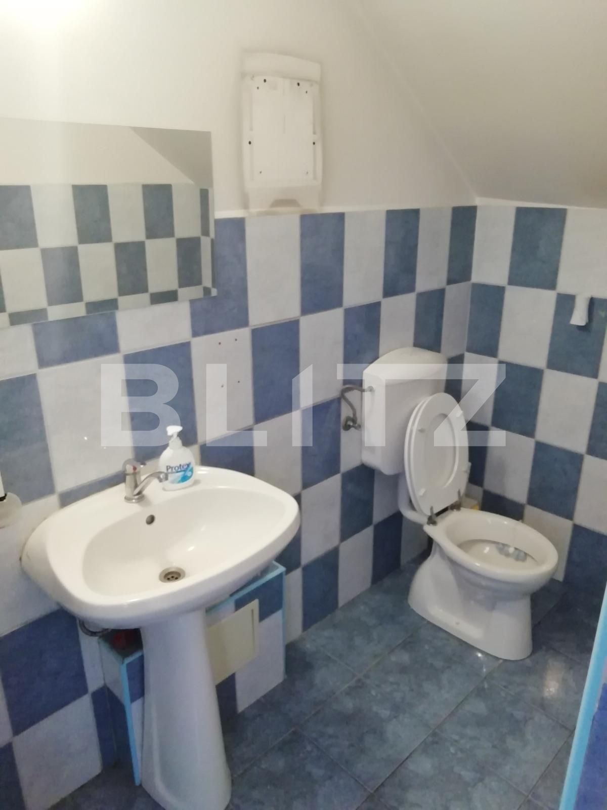 Spațiu birouri de închiriat Someseni - 41721SIB | BLITZ Cluj-Napoca | Poza9
