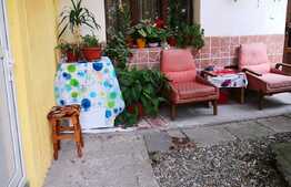 Oportunitate de investitie, casa in zona centrala