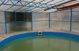 Casa individuala 352 mp, gradina deosebita, suprafata teren 2140 mp