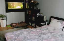 3 camere, 66 mp., ideal pentru o familie, zona Tineretului