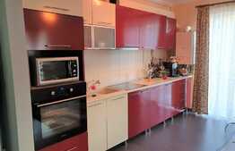 Apartament cochet, 2 camere, 57mp, plus terasa de 14mp!