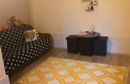 Doua case de vanzare la pret de una, 180mp, zona Hasdeu