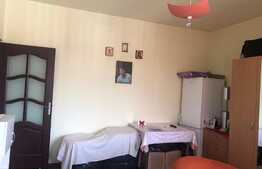 Garsoniera decomandata de vanzare, etaj intermediar, mobilata, zona Lidl 