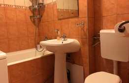 Garsoniera, 28 mp, la 3 minute de mijloacele de transport, zona strazii Detunata