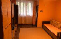 Garsoniera, 28 mp, la 3 minute de mijloacele de transport, zona strazii Detunata