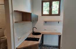 Apartament 1 camera, 43 mp, Ultracentral!