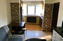 Apartament 2 camere, Pet Friendly, strada Florilor!