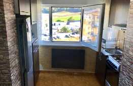 Apartament 2 camere, Pet Friendly, strada Florilor!