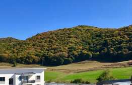 Apartament 2 camere, Pet Friendly, strada Florilor!