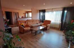 Casa cuplata cu garaj si 500 mp de teren, zona Somesului!