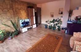 Casa cuplata cu garaj si 500 mp de teren, zona Somesului!