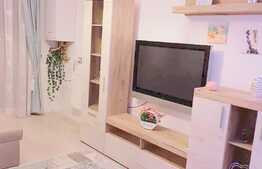 Investitia perfecta! 2 camere decomandate , 54.1 mp, terasa 11 mp, zona Iulius Mall 