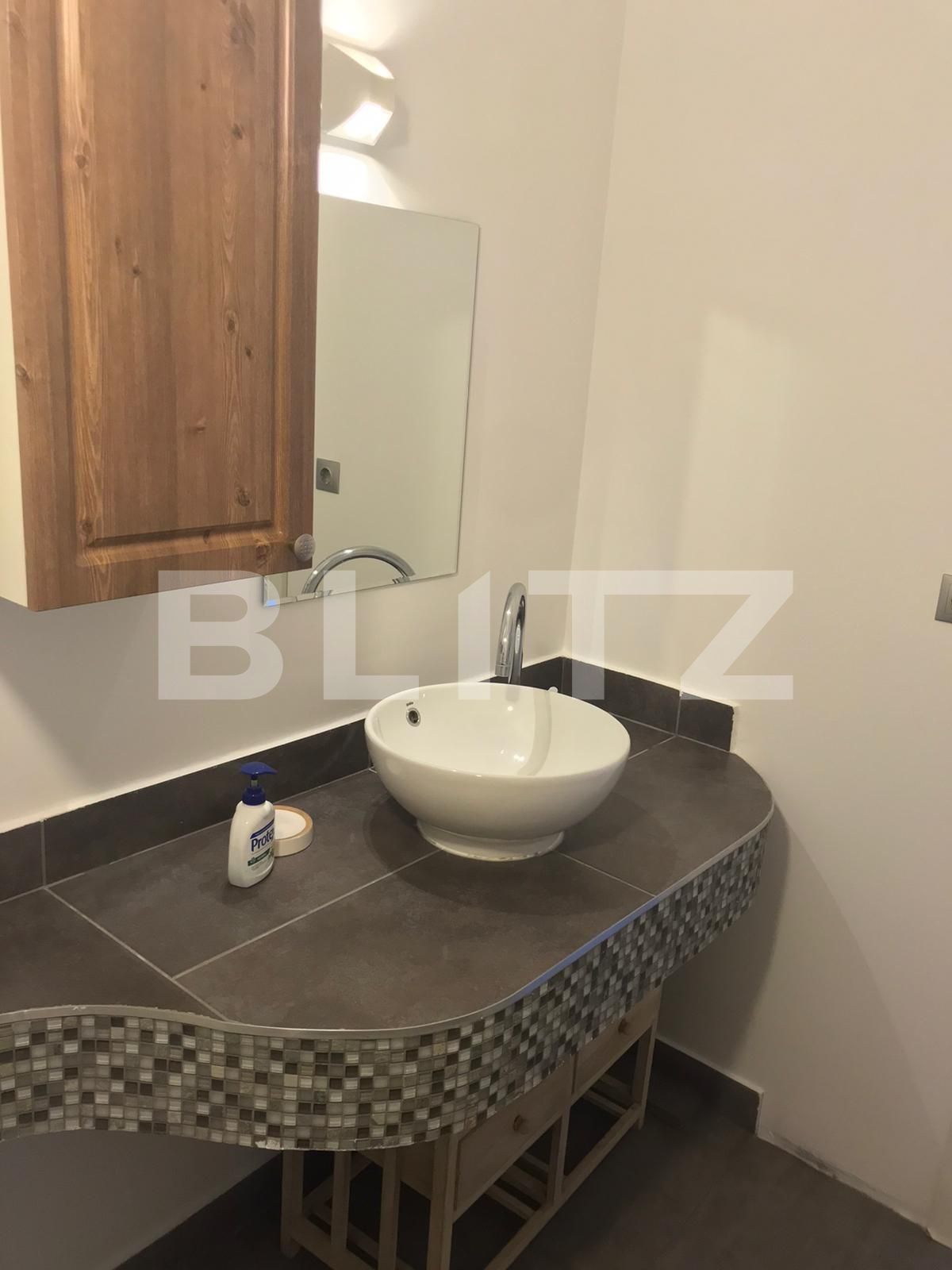 Apartament de închiriat 2 camere Bună Ziua - 41857AI | BLITZ Cluj-Napoca | Poza14