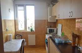 De vanzare, apartament 1 camera, 42 mp utili, zona Oasului