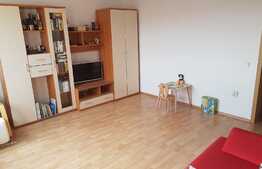 De vanzare, apartament 1 camera, 42 mp utili, zona Oasului