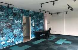 Spatiu elegant- zona linistita , de top