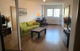 Apartament 2 camere zona USAMV