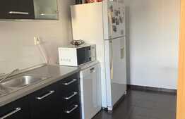 Apartament 2 camere zona USAMV