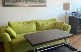 Apartament 2 camere zona USAMV