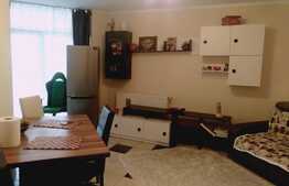 2 camere, 42 mp, zona linistita, zona strazii Tineretului