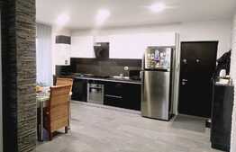 3 camere, modern/lux, 55 mp., terasa 55 mp., zona strazii Sub Cetate