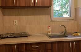 Garsoniera in vila, in cel mai linistit cartier al orasului!