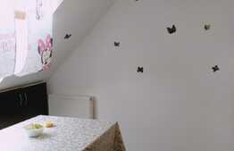 1 camera, mansarda, 33 mp, zona strazii Porii