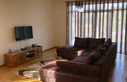 Casa indivituala, 4 camere 150mp, gradina 220mp, zona strazii Dumitru Mocanu