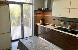 Casa indivituala, 4 camere 150mp, gradina 220mp, zona strazii Dumitru Mocanu