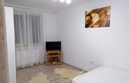 Apartament cu 2 camere, 40 mp, zona strazii Teilor!
