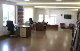 Spatiu comercial cu potential, 250 mp, zona Terapia